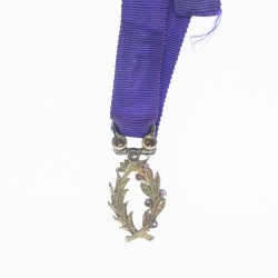 Médaille miniature des palmes académiques avec brillants et grenats.