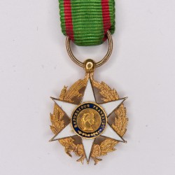 Médaille miniature du mérite agricole en or.