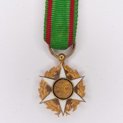 Miniature medal of agricultural merit in gold.