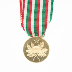 Italie Médaille commémorative de l’anniversaire de la victoire en or, en miniature.