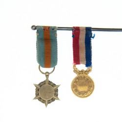 Deux médaille miniatures :   d’honneur du sauvetage en or. des assurances sociales