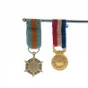 Deux médaille miniatures :   d’honneur du sauvetage en or. des assurances sociales