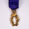 Médaille miniature de commandeur des palmes académique en or avec diamants et rubis.