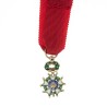 Ordre de la légion d'honneur, médaille miniature avec un diamant.