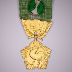 Médaille d'officier des collectivités locales.