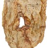 Tranche de bois pétrifié