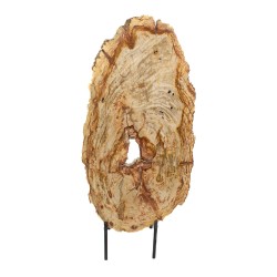 Tranche de bois pétrifié