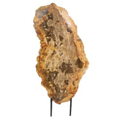 Bois pétrifié