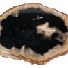 Bois pétrifié