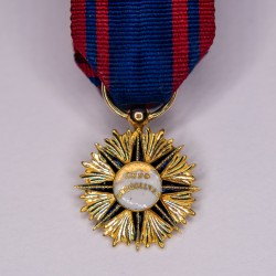 Rare médaille miniature d'officier de l'Ordre de Pie IX, en or, Vatican Saint-Siège pape.