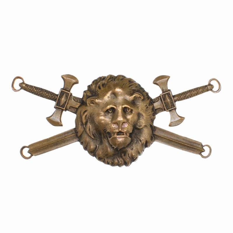 Insigne de brevet moniteur sportif