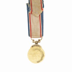 Médaille de la Reconnaissance française en or et diamants.