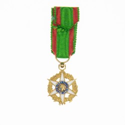 Médaille en or du mérite agricole en miniature.