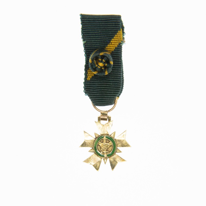 Médaille d’officier, miniature en or de l’ordre du Mérite du Combattant.