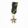 Médaille d’officier, miniature en or de l’ordre du Mérite du Combattant.