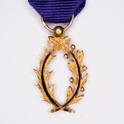Miniature medal of academic...