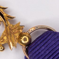 Miniature medal of academic palms in gold and enamel.