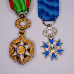 Chainette de médailles miniatures de l’ordre mérite agricole et de l’ordre mérite national officier.