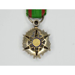 Rare médaille miniature du mérite agricole modèle de luxe avec diamants, en argent, or et émail.