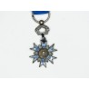 Miniature medal of the Order of National Merit with ribbon and small chainette.