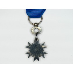 Miniature medal of the Order of National Merit with ribbon and small chainette.