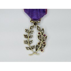 Miniature medal of academic palms with diamonds, rubies and ribbon.