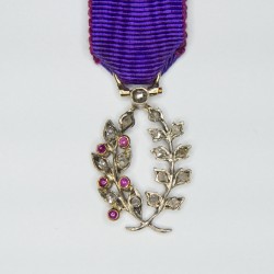 Miniature medal of academic palms with diamonds, rubies and ribbon.