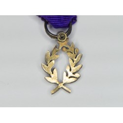 Miniature medal of academic palms, silver, email, diamond and ribbon.