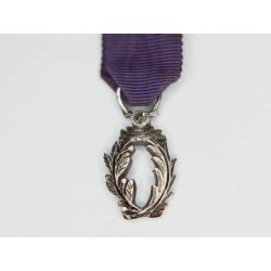 Miniature Knight's Medal of Academic Palms, silver, email, diamond and ribbon.