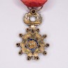 Médaille de l'ordre de la Légion d'Honneur en miniature sertie de diamants.