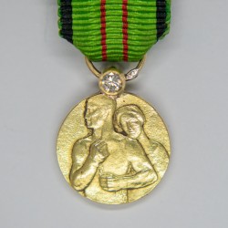 Belgique.  Médaille miniature de la résistance civile 1940-1945. En or avec un diamant.