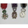 Miniature chain including a Legion of Honour medal, academic palms and mutuality medal.