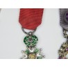 Miniature chain including a Legion of Honour medal, academic palms and mutuality medal.