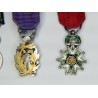 Miniature chain including a Legion of Honour medal, academic palms and mutuality medal.